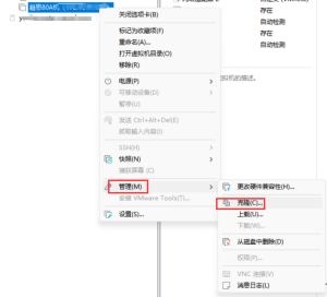 VMware 复制虚拟机、克隆虚拟机、系统快照 - 正则时光